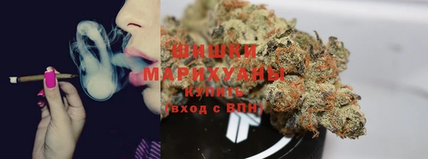 гидропоника Медногорск